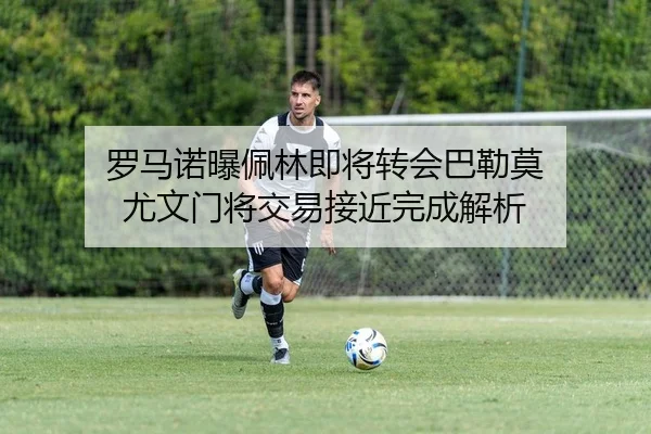 罗马诺曝佩林即将转会巴勒莫 尤文门将交易接近完成解析