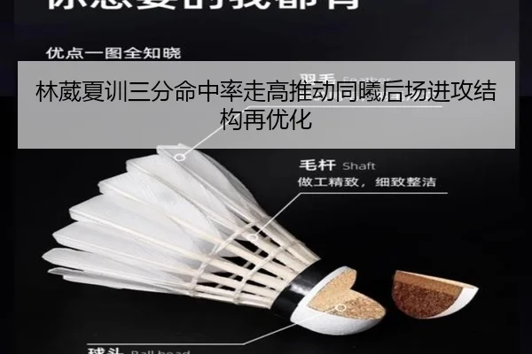 林葳夏训三分命中率走高推动同曦后场进攻结构再优化